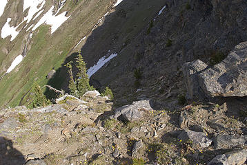 Looking down the Gully