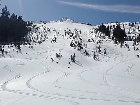 First turns