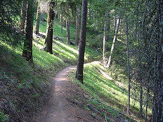 Mission Ridge Trail