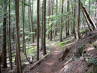 Deep Creek Trail
