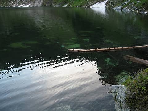 clear waters of cub lake