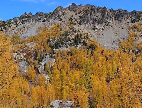 arrow of larches pointing the way to Squaretop
