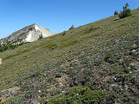 Looking along Nelson Ridge to Pt. 7537'