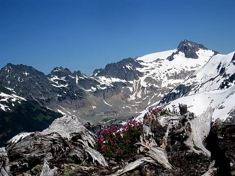 flowers and le conte glacier with south cascade lake in middle