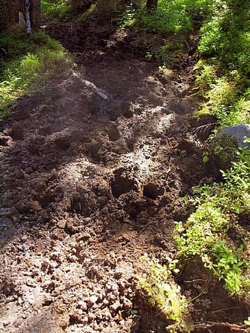 destroyed trail in parts