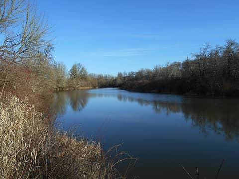 Davis Creek Wildlife Area 03/11/21