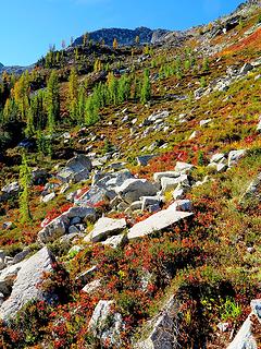 White rocks, red meadow, bright green trees, gray mountain, blue sky