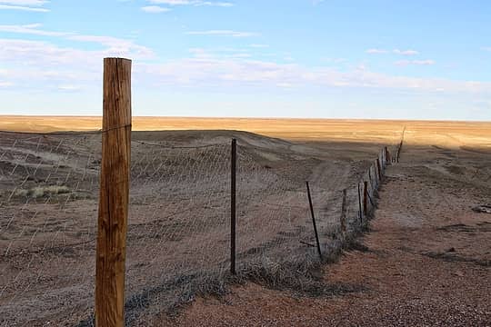 dingo fence runs hundreds of miles