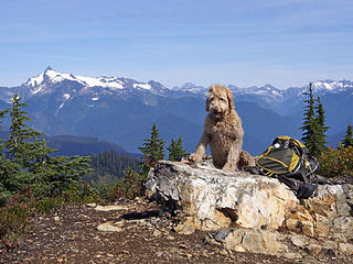 the other Gus on Dock Butte