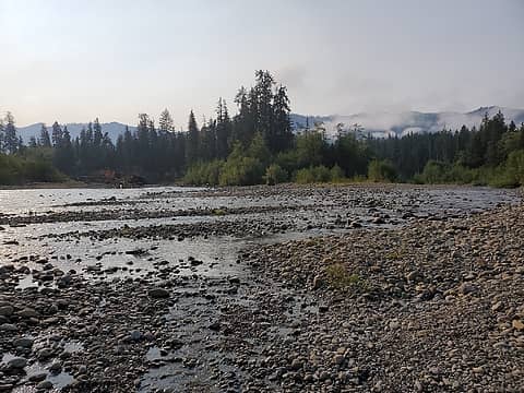 NWHikers View topic Thirteen miles up the Queets River trail Sep. 4 7 2020