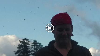 we stayed the night at One Acre Lake (aka mosquito hell) [url=https://photos.app.goo.gl/eAJLSexJY1VjPP4B9]Link to video[/url]