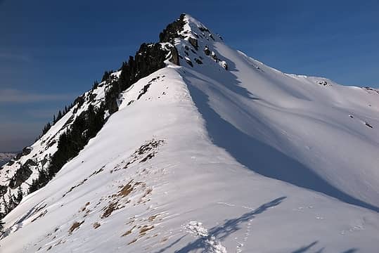 Looking up to the summit area from the 6400-foot saddle (looks like an animal stopped its tracks at the same place)
