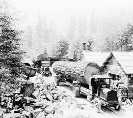 Lee Pickett, Woods Logging Company, Miller River, ca. 1931