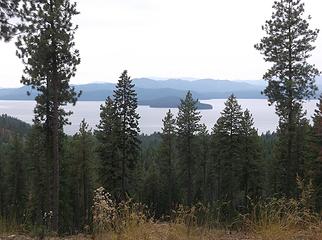 Priest lake from above.