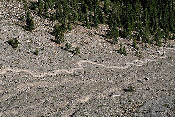 Trail heading down from Longs Pass