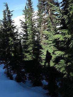 My shadow walking in midair on trees alongside the ridge as the sun drops down level with the crest.