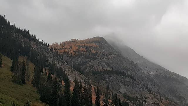 Larches on the side of Buck