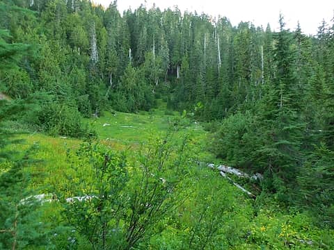 portion of the meadow to the east (creek crosses through it)