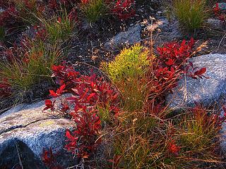 Some color at Twisp Pass