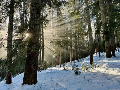 rays of light shining through in the meadow northwest of mount catherine