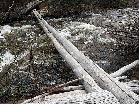 Thin bouncy logs over Horseshoe Creek
