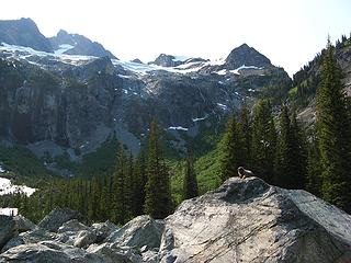 Marmot, waterfall cliffs, Mary Green glacier, & summit (point with broken snowfield at left)