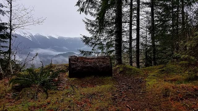 One of several places to stop and enjoy the view along the Granite Creek Connector trail.
