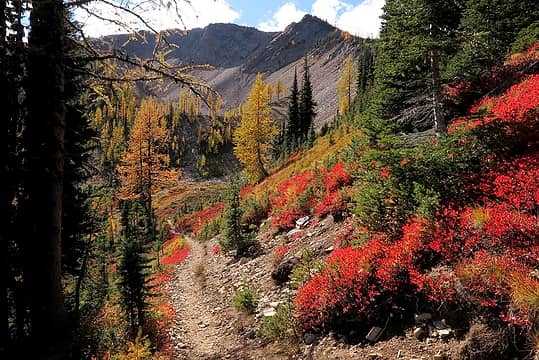 Especially intense colors coming into Tamarack's east basin