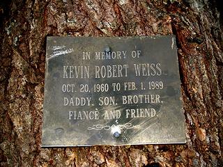 Memorial on tree at Isabel