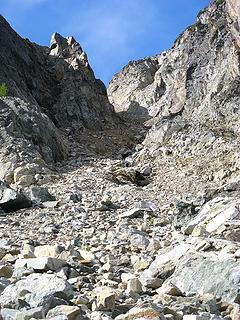 Looking up the gully