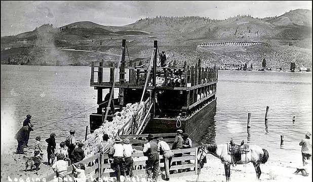 Sheep boat on lake chelan in 1908