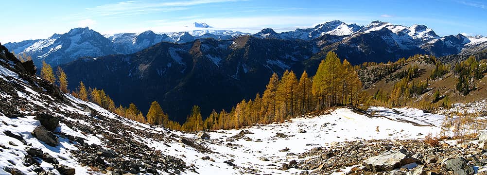 Larches to the west