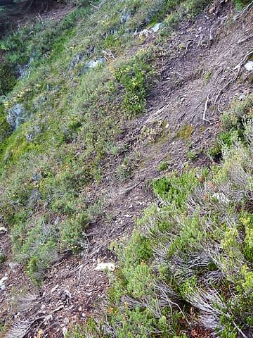 steep dirt section above cliffs