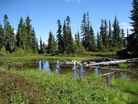 small pond before pass