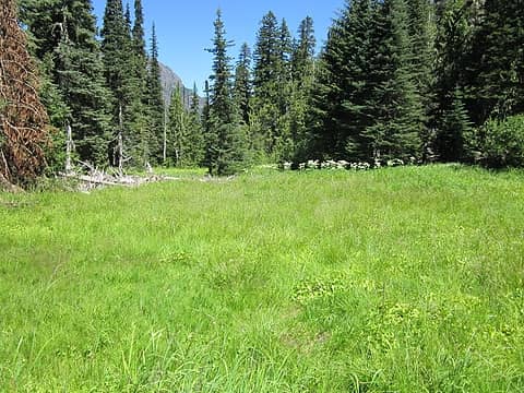 2.2 second,larger meadow south of Morse Creek