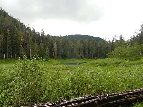 Satsop Lake