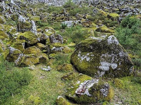More mossy rocks