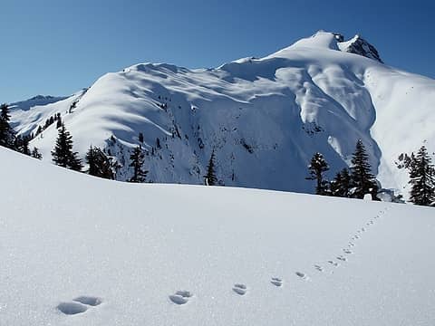 first tracks on snowking (10)