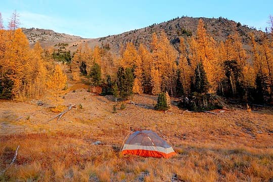 Morning golden light on our camp meadow