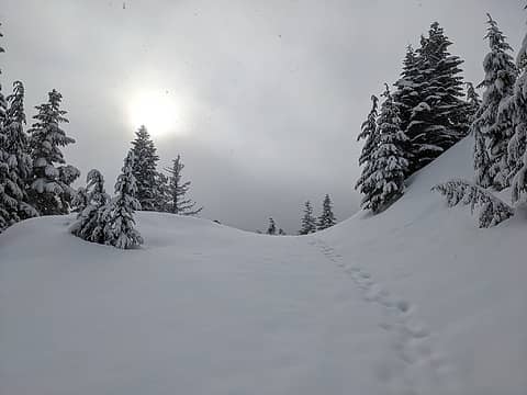 Winter wonderland up at South Bessemer yesterday