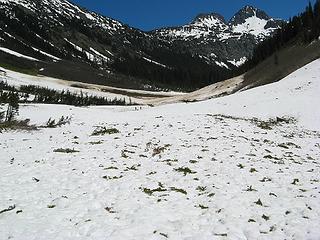 Hiking across the avalanche fields