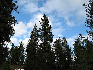 Blue Skies at 29 Pines