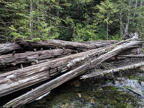 Don't follow these logs. Turn to the left just off frame.