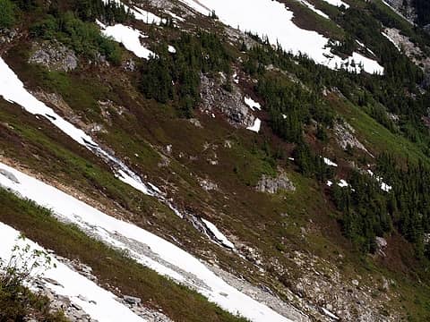 the most trail we saw on the ptarmigan portion of the traverse