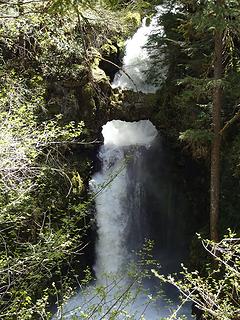 I parked at the western crossing of the river, but a quarter mile plus farther down is Curly Creek Falls with a rock arch in the middle. This would be a good place to start too as the Lewis River Trail does go down to here.