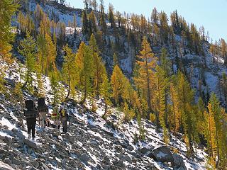 Hiking with larches 1