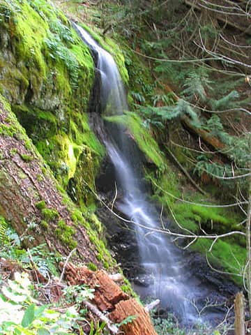 20-foot falls near old trail