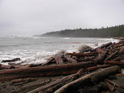 waves crashing into driftwood