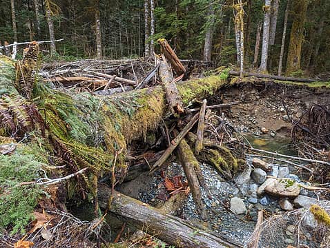 Big log crossing 150 yards downstream on April 23, 2023