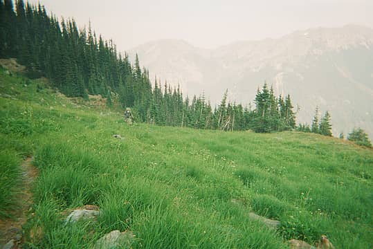 Entering the Marmot-filled meadows below Grand Pass.